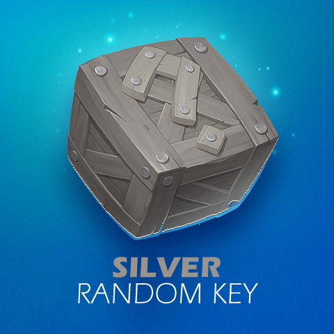 Steam Silver Random Key