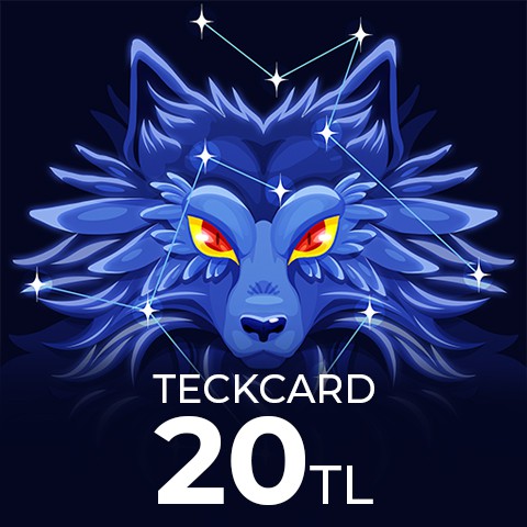 Teckcard 20 TL Card