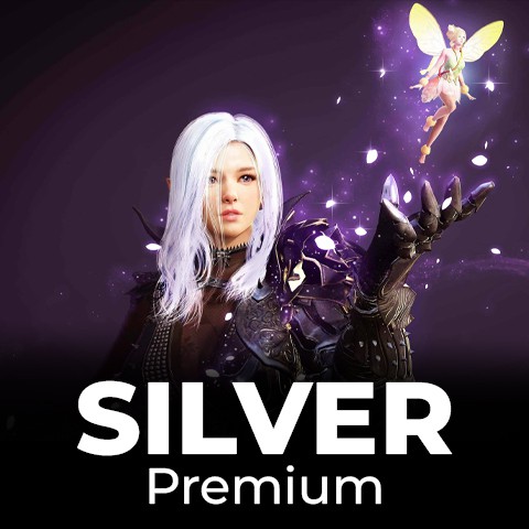 Black Desert Online Silver Premium