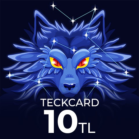 Teckcard 20 TL Card